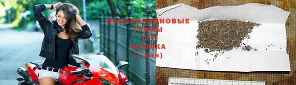 прущая мука Переславль-Залесский