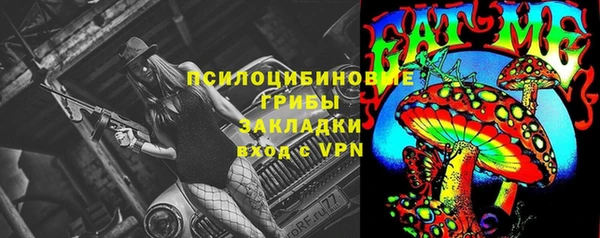 мяу мяу мука Пестово