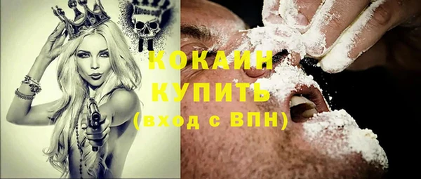 мяу мяу мука Пестово