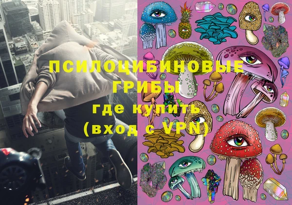 прущая мука Переславль-Залесский