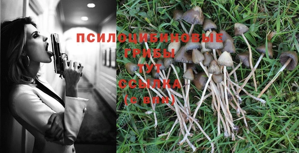 прущая мука Переславль-Залесский