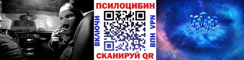 Псилоцибиновые грибы Psilocybe  наркошоп  Бежецк 
